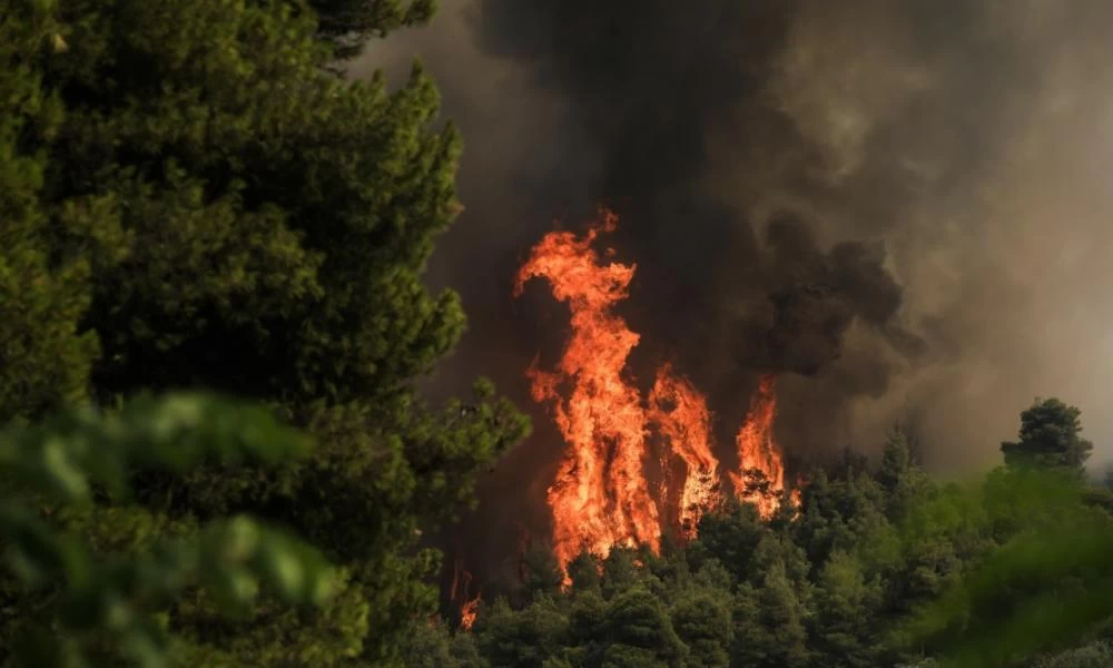 Φωτιά στη Μάνδρα: Πέντε αεροσκάφη επιχειρούν στο όρος Πατέρα